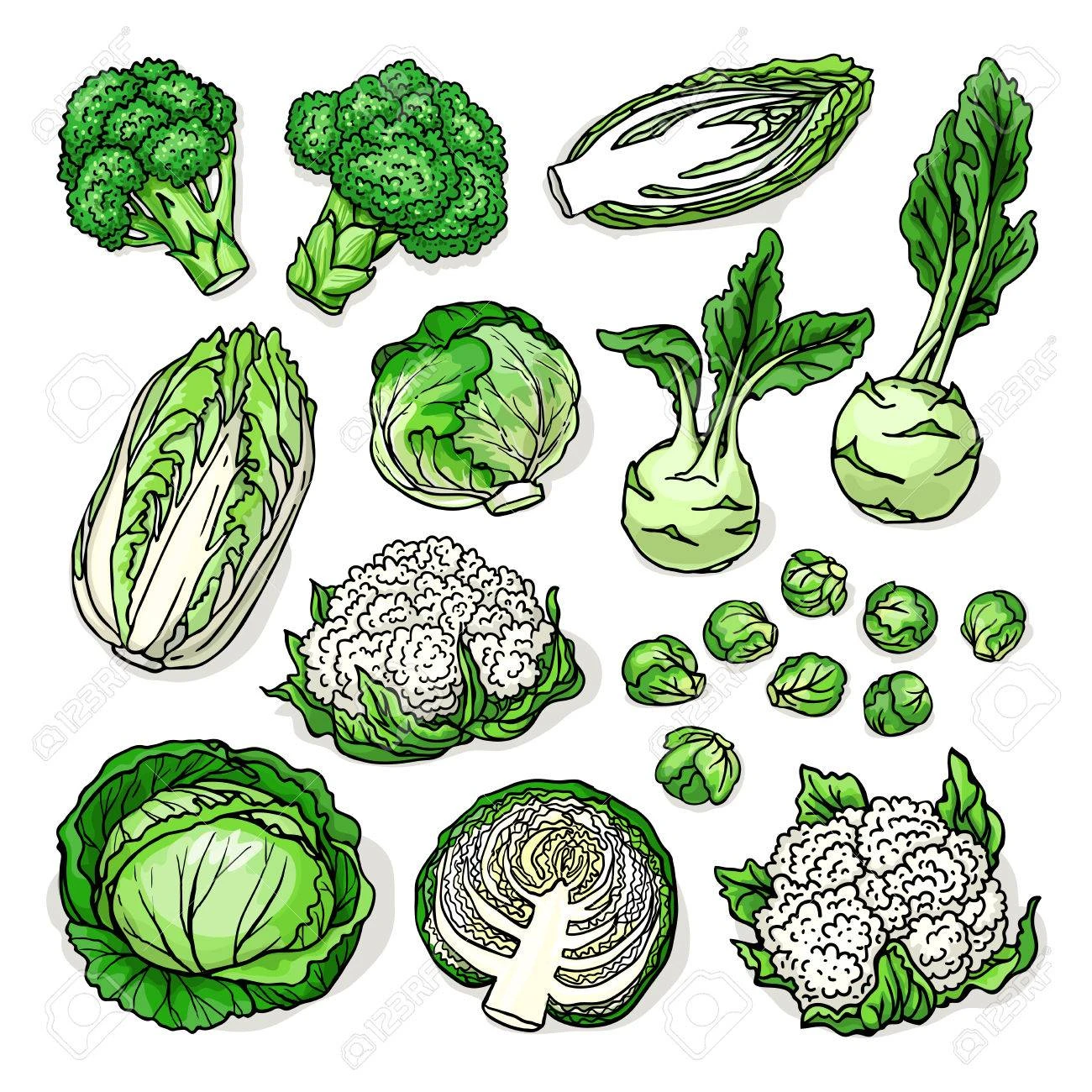 Vegetables
