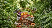 Vegetables